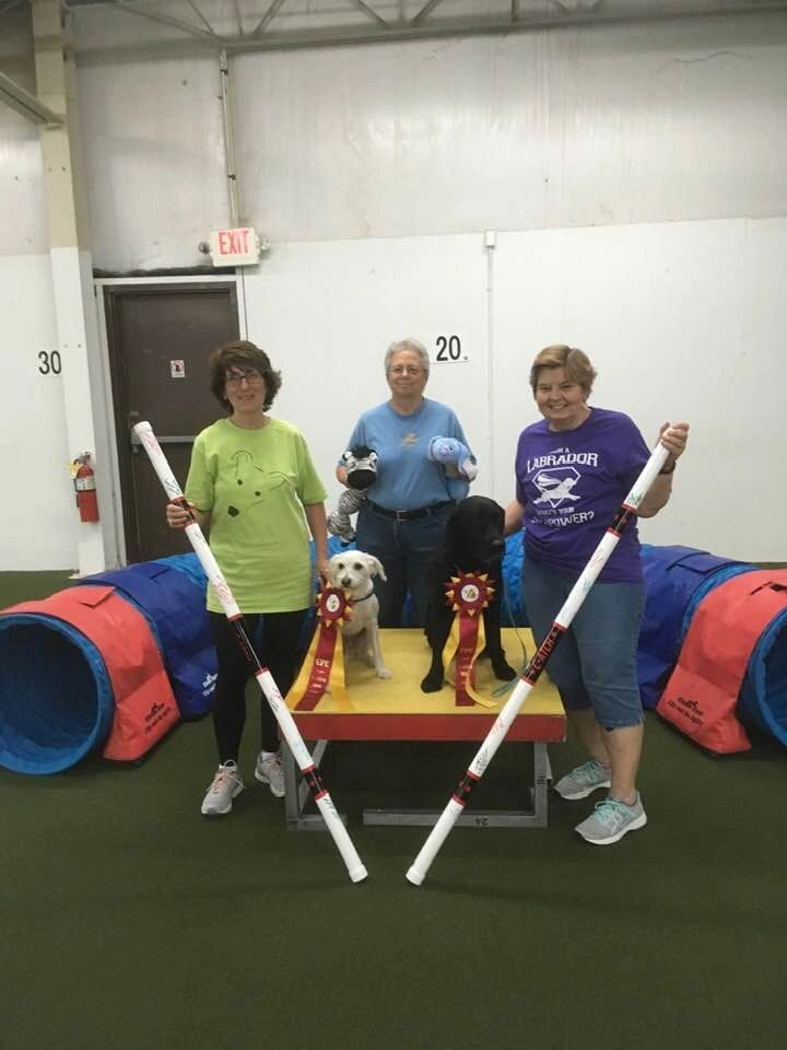 Flash Point Agility participants and dogs at a 2018 C-ATCH event.